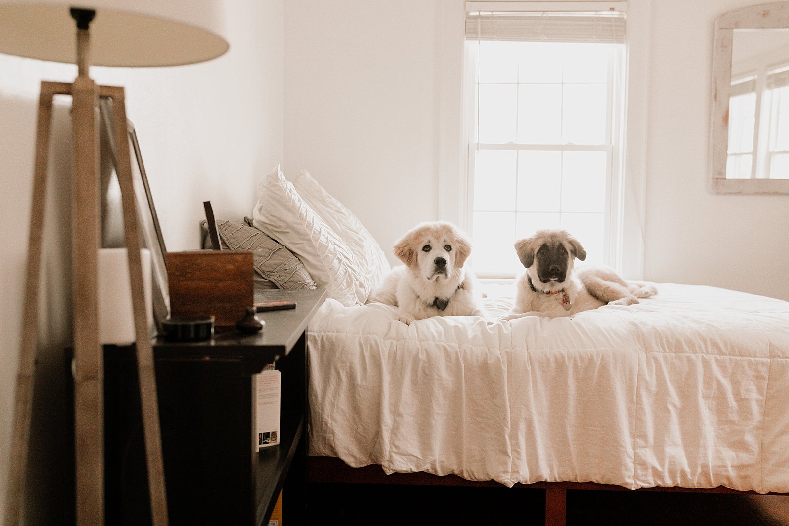 sam + trey puppies | Wyn Wiley Photography_1722