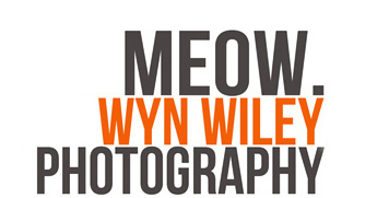 Wyn Wiley Photography logo
