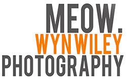 Wyn Wiley Photography logo